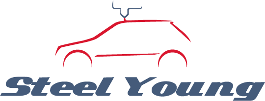 logo-Steel Young